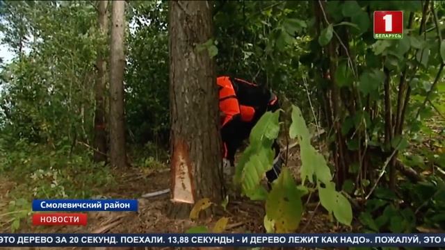 Белорусские лесорубы во второй раз стали чемпионами мира