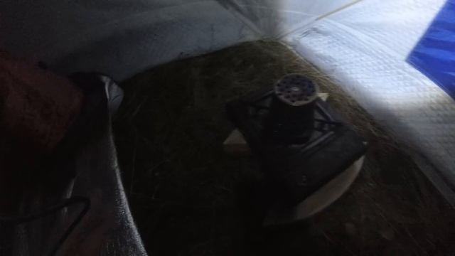 р.ЛУГА. Рыбалка на НАЛИМА .Закрытие сезона жидкой воды .Осень 2109. смотреть онлайн