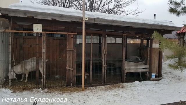Жизнь бьёт ключом.Хорошо, что не по голове)))