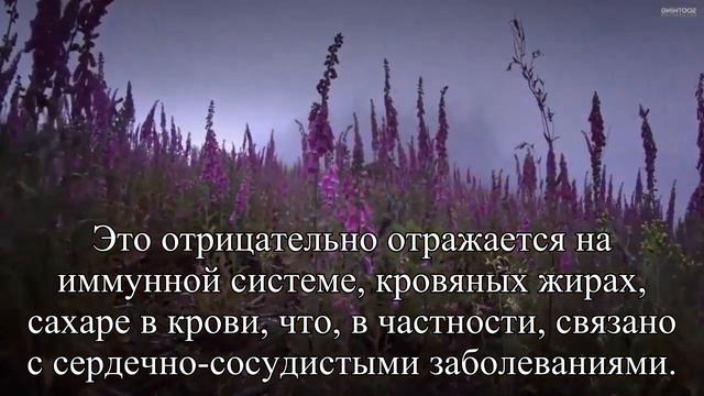 Тем, кто спит и днем, и ночью, стоит проверить здоровье  — Статья смотреть онлайн