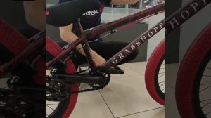 Велосипед BMX Tech Team Grasshopper 20"