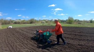 Посадка картофеля картофелесажалкой на мокром огороде