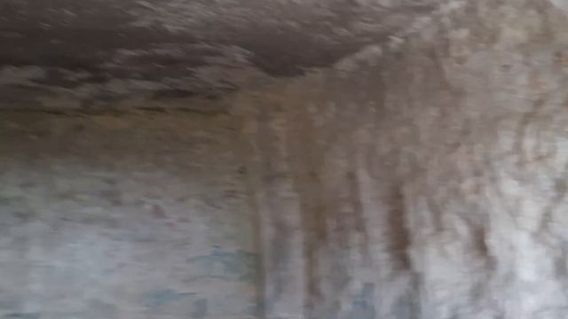 Мы в пещере где жили древние люди смотреть онлайн