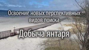 Освоение новых видов поиска (поиск янтаря)
