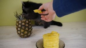 АНАНАСОВЫЙ СОК для ЕНОТА ХАЙПА