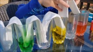 Радуга в стакане или шагающая вода/ Опыт для детей