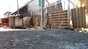 Легкий мопед ЗиФ-77 1981 года. Первая попытка запуска