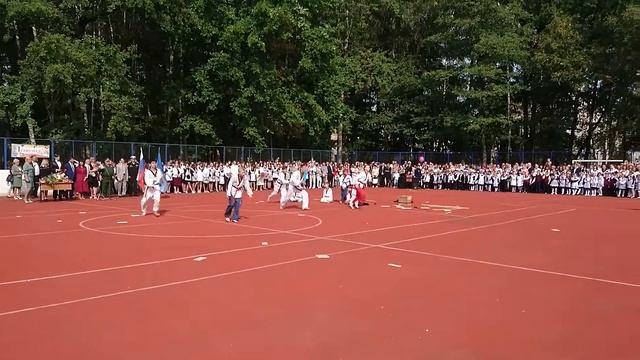 Показательное выступление тхэквондо | Taekwondo performance смотреть онлайн