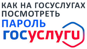 Как на госуслугах посмотреть пароль