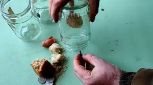 Как поймать МЫШЬ без мышеловки. Самый гуманный способ