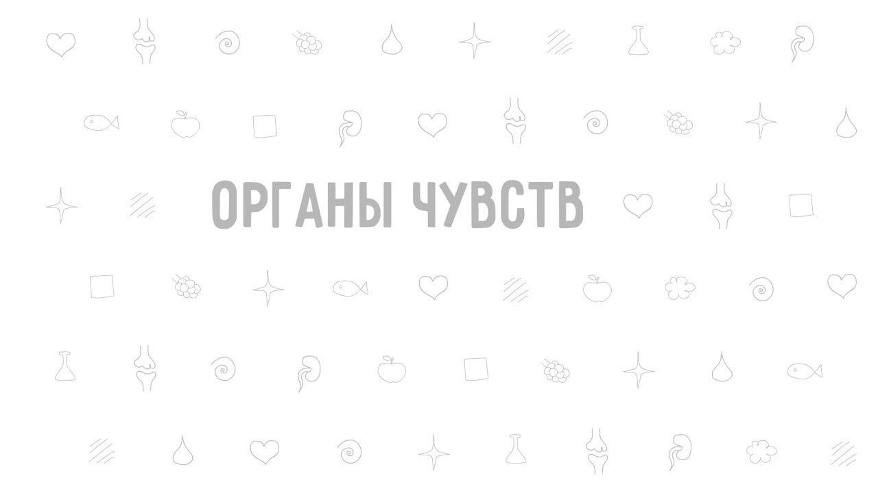 20. Органы чувств . Окружающий мир - 3 класс