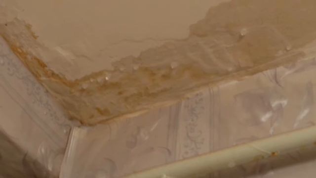 Затопленный дом в д. Лоскутово, видео жильцов смотреть онлайн