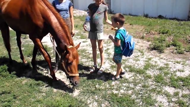 ❤BLOG❤ЕДУ В ЗООПАРК И ШКОЛУ ВЕРХОВОЙ ЕЗДЫ❤ВИДЕЛА НАСТОЯЩЕГО ЛЬВА❤ смотреть онлайн