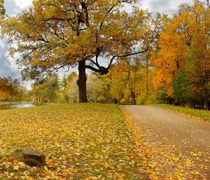 Жизнь проходит.wmv