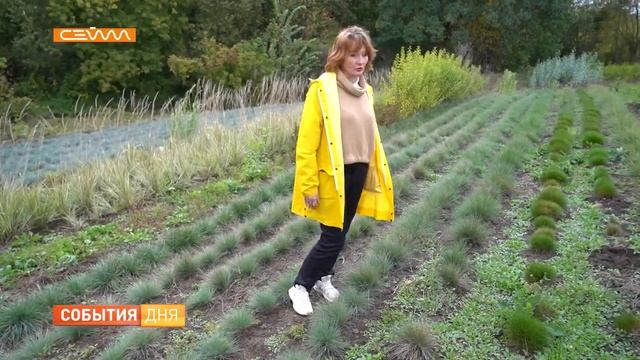 В Курской области выращивают снежноягодник смотреть онлайн