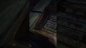 Зимовка пчёл в альпийских ульях на Урале или улей удав.мфу улья.рут.лежак,заносим в зимовник