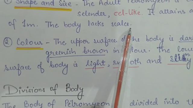 Cyclostomata - Petromyzon  general Characteristics