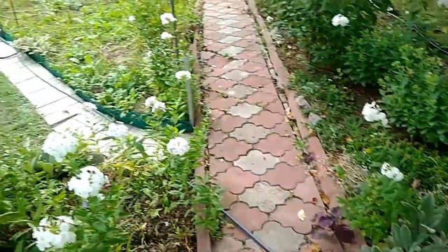 Наша любимая дача смотреть онлайн