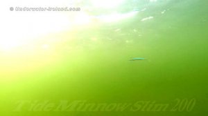 Fishing: my best / top 10 DUO lures for bass pike muskie perch zander seabass in action underwater.