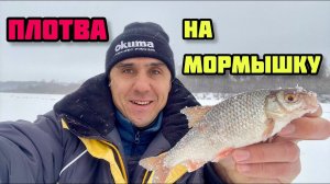 Ловля плотвы зимой на мормышку на течении со льда. Рыбалка вместо Нового года и Золотая рыбка