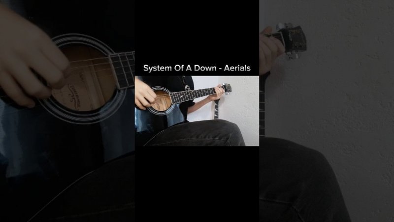System Of A Down - Aerials (Acoustic Guitar Cover) #shorts