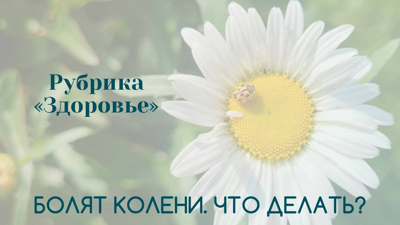 Болят колени | Здоровье | Татьяна Бекаревич