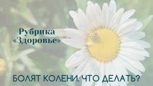 Болят колени | Здоровье | Татьяна Бекаревич