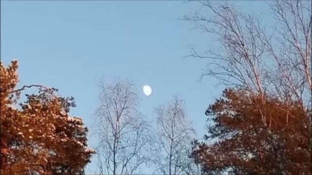 Nature Synth смотреть онлайн