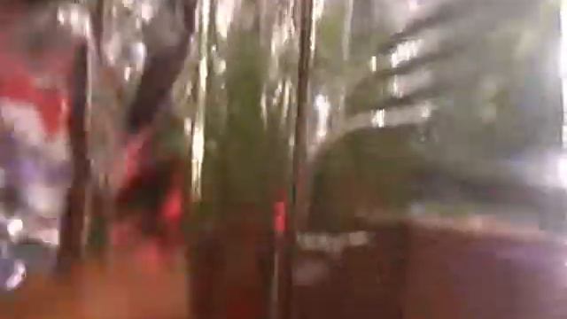 комнатная тепличка женскими руками смотреть онлайн