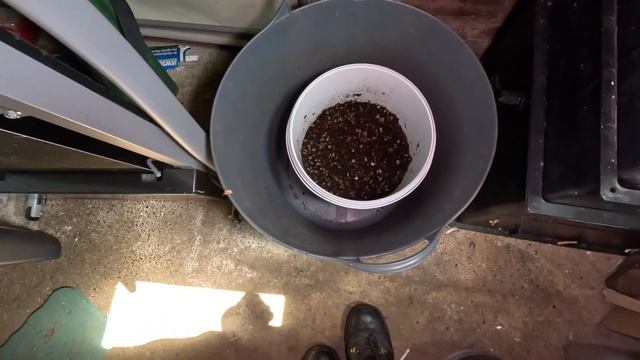 1kg Compost Worm release time-lapse | Red Wiggler Breeding bin set up. #vermicomposting #wormery смотреть онлайн