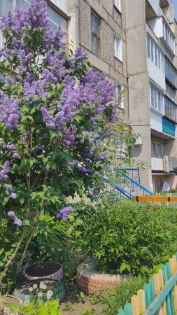 Вспоминая весну. С Днём учителя, дорогие учителя!