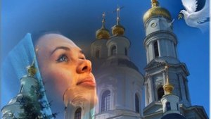 В Толкунова  А наша жизнь стоит на паперти