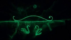 Рисунок светом...