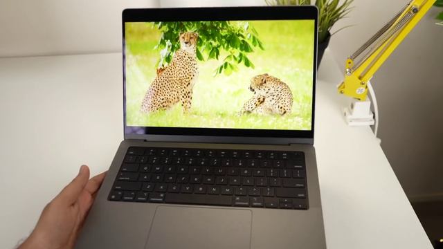 M1 Pro MacBook Pro 14 inch 2021 Unboxing, Setup, Comparison & First Look India