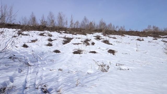 ПВД на фэтбайке. Покрышки Terrene Cake Eater. смотреть онлайн