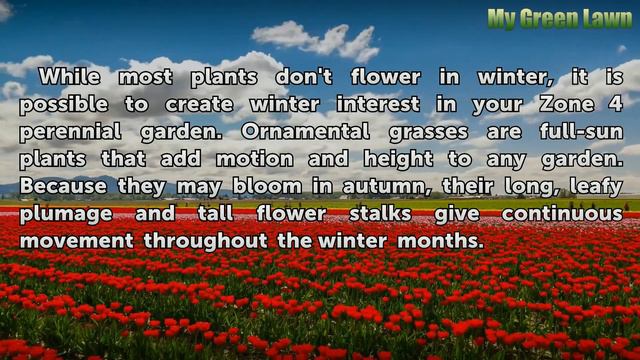 A List of Full Sun Perennial Flowers in Zone 4 смотреть онлайн