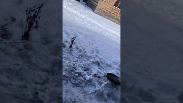 Плов из баранины готовим в Приэльбрусье смотреть онлайн