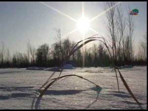 "Зимние следы, заказник "Верхне - Кондинский",@заповедник "Малая Сосьва, 2020