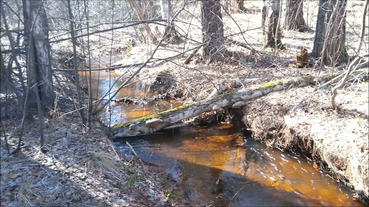 Разведка на золото. Весна 2021г смотреть онлайн