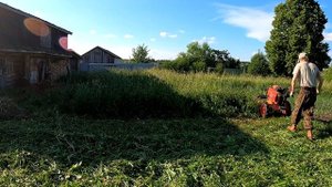 Сенокос в деревне. Мотоблок ока. Роторная косилка заря