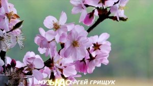 Музыка Для Души ВСЁ НАЧИНАЕТСЯ С ЛЮБВИ Музыка Сергей Грищук.mp4