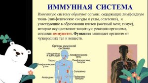 Органы и системы органов человека. 8 класс