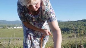 Елена Курапова: вышла на пенсию и запустила молочный бизнес