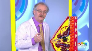 В группе риска. Рак груди. Жить здорово! Фрагмент выпуска от 18.06.2020