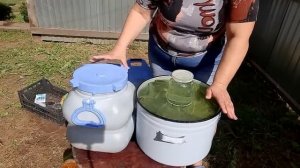 Настоящие бочковые соленые огурцы без хлопот???