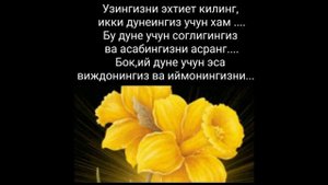 Отин ойидан чиройли маруза