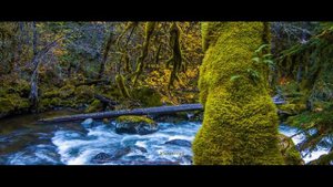 Медитация шум воды