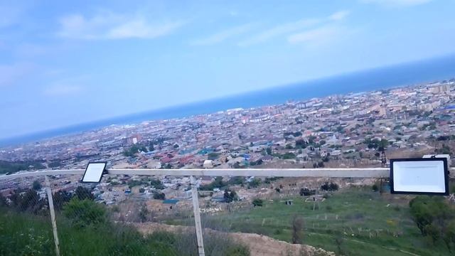 Сосновый бор возле крепости Нарын - Кала. смотреть онлайн