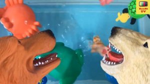 звуки животных для детей 1 года - дикие животные для детей 6 7 лет | bonbi tv