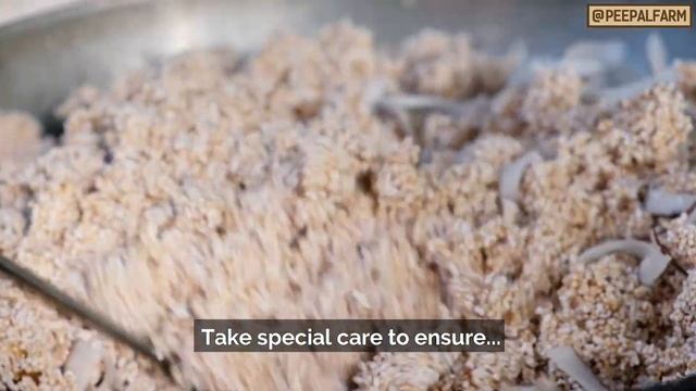 How to make Vegan Muesli | Oats Muesli | Healthy Muesli for breakfast смотреть онлайн